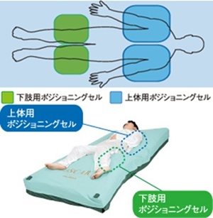 生登会グループ｜生登会ブログ